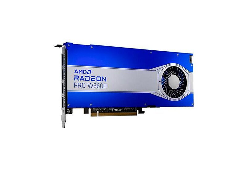 Dell AMD Radeon Pro W6600 grafikkort - 8GB