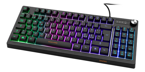 DELTACO GAMING DK230 Tastatur Membran RGB Kabling Pan Nordic