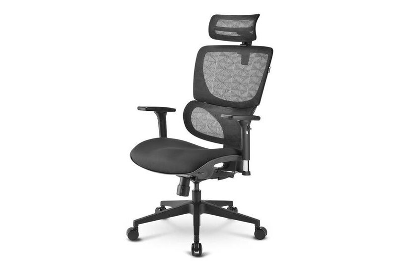 Sharkoon OfficePal C30 - Gaming stol - Sort