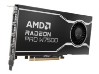 AMD Radeon Pro W7500 - Grafikkort GDDR6