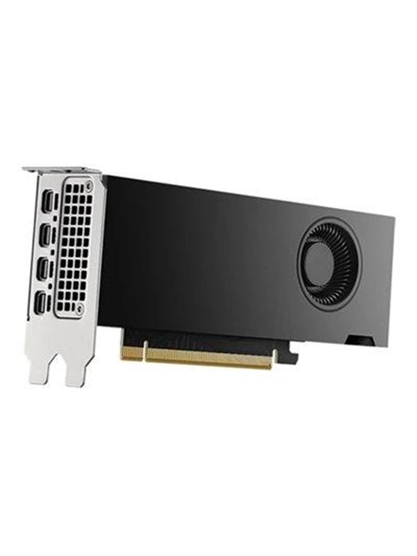 Dell RTX 2000 Ada - 16GB GDDR6 RAM - Grafikkort
